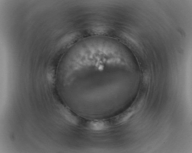 X0000113780181200910071231