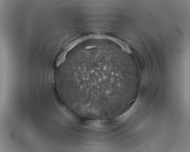 X0000113780182200910071231