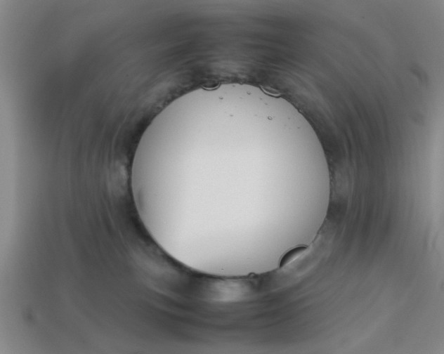 X0000113780183200910071231