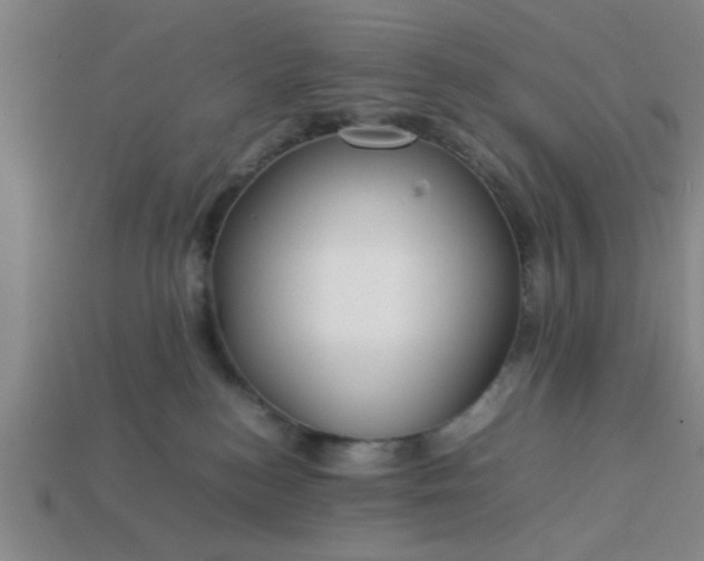 X0000113780184200910071231