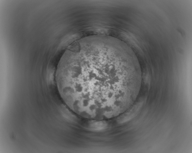 X0000113780185200910071231