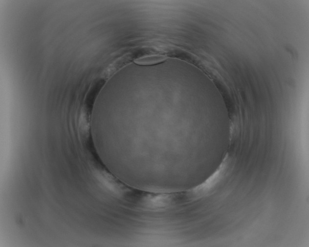 X0000113780186200910071231