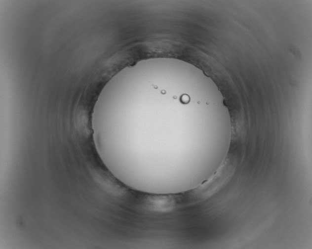 X0000113780187200910071231