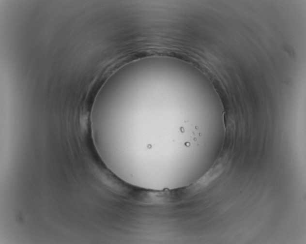 X0000113780188200910071231