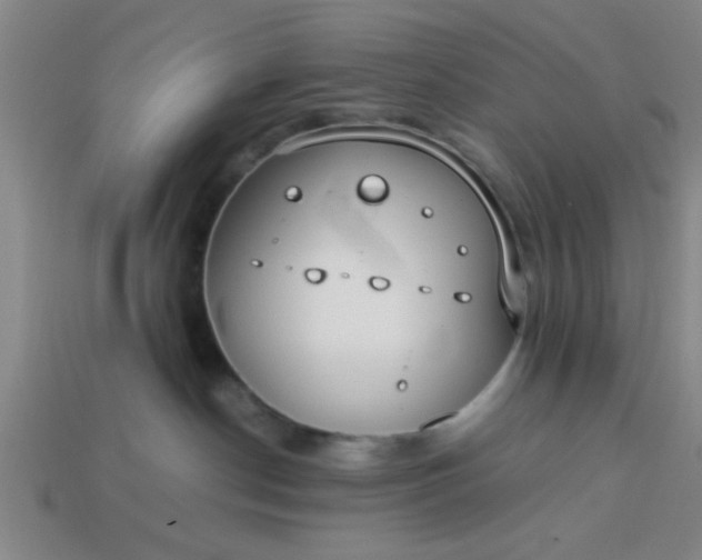 X0000113780190200910071231