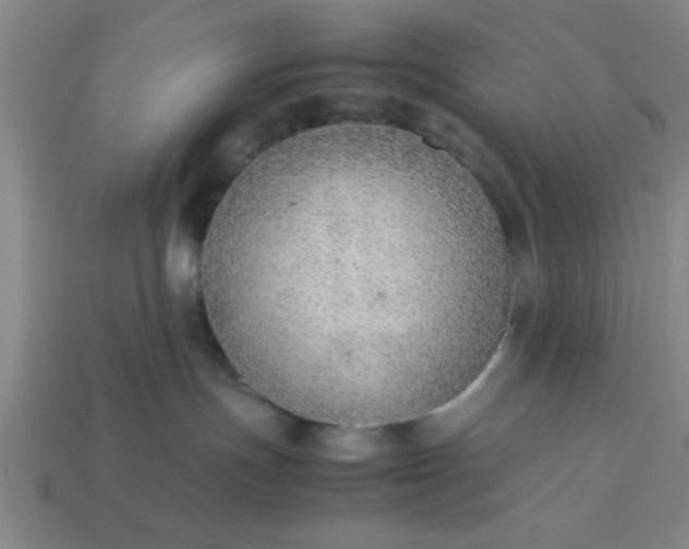 X0000113780191200910071231