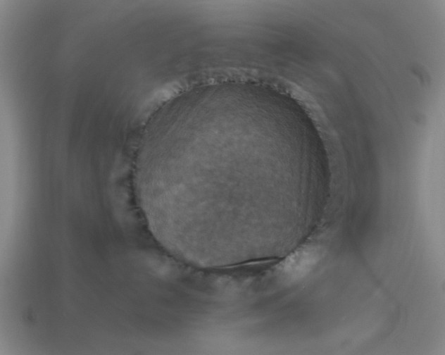 X0000113780192200910071231