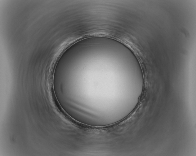 X0000113780193200910071230