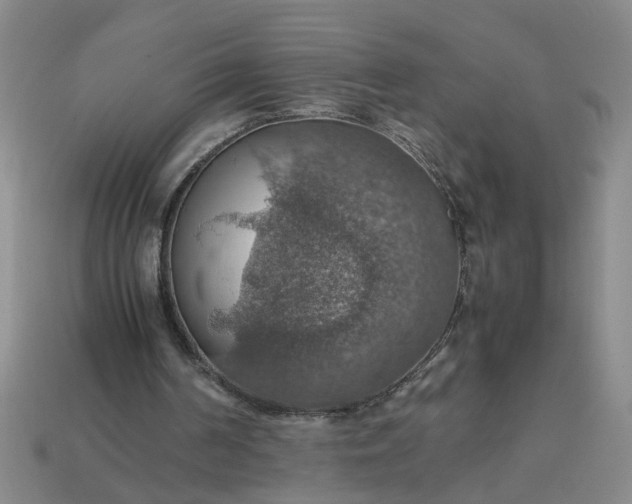 X0000113780194200910071230