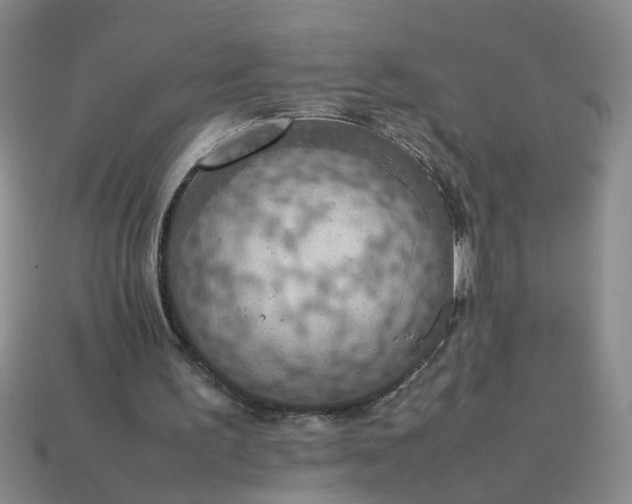 X0000113780195200910071230