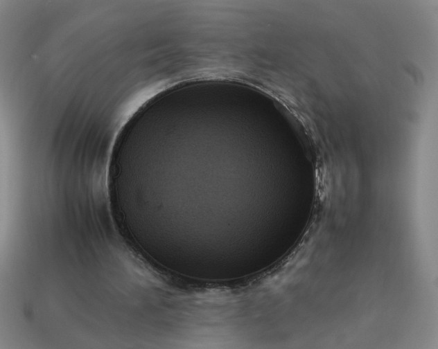 X0000113780196200910071230