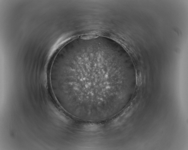 X0000113780198200910071230