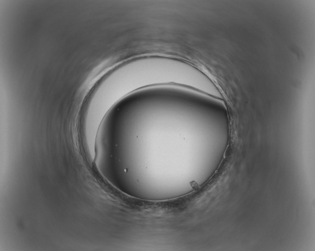 X0000113780199200910071230