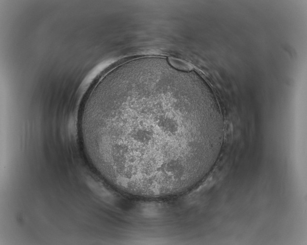 X0000113780200200910071230