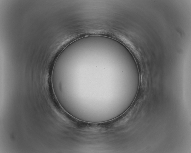 X0000113780201200910071230