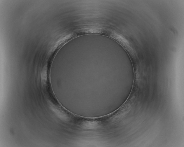 X0000113780202200910071230