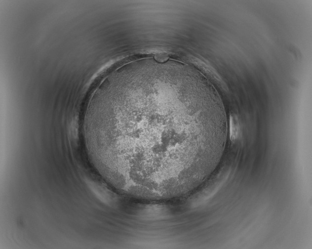 X0000113780204200910071230