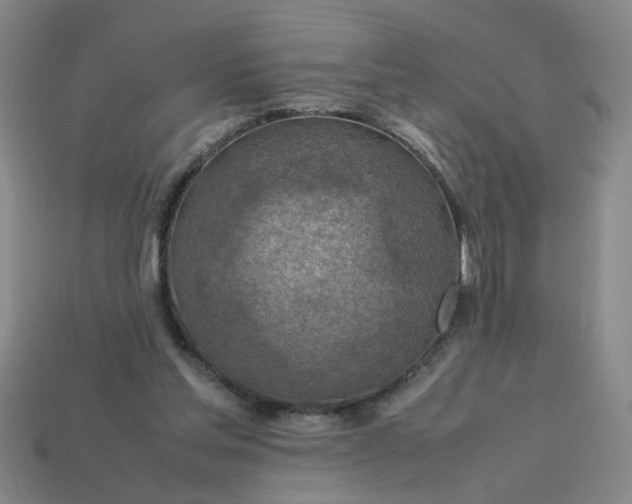 X0000113780205200910071230