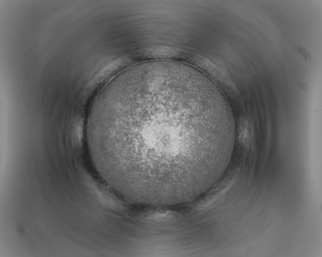 X0000113780206200910071230