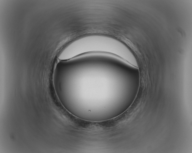 X0000113780207200910071230