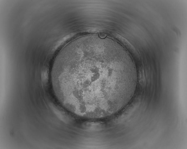 X0000113780208200910071230