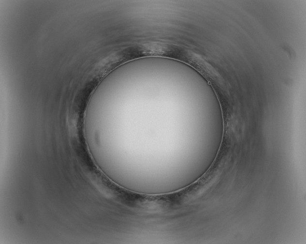 X0000113780209200910071230