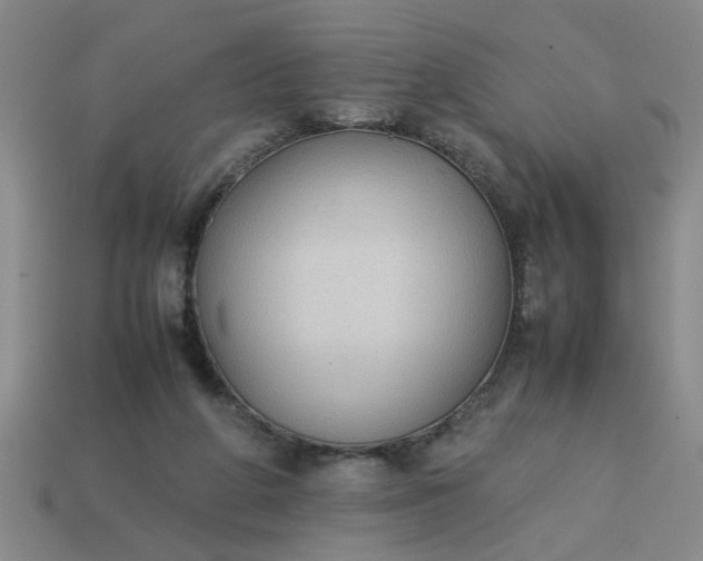 X0000113780210200910071230