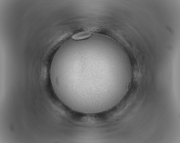 X0000113780211200910071230