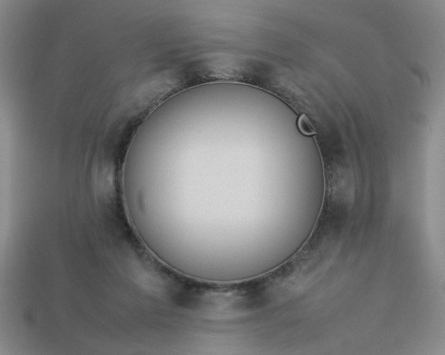 X0000113780213200910071230