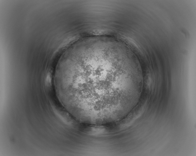 X0000113780214200910071230