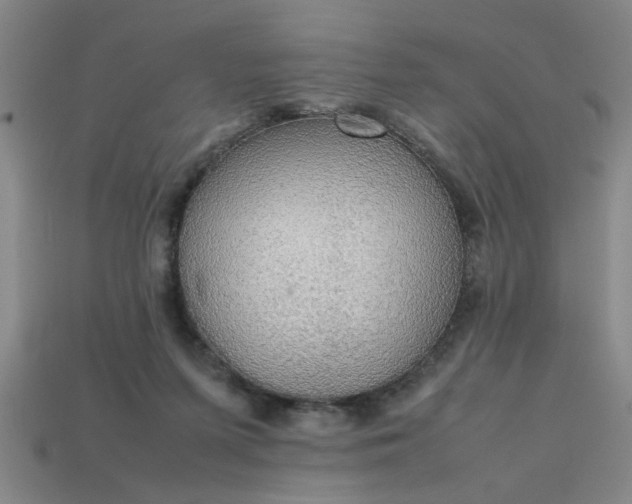 X0000113780215200910071230