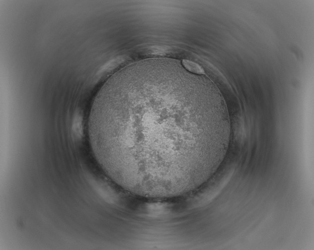 X0000113780216200910071230