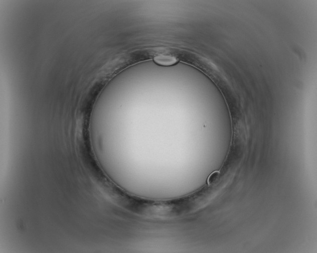 X0000113780217200910071230