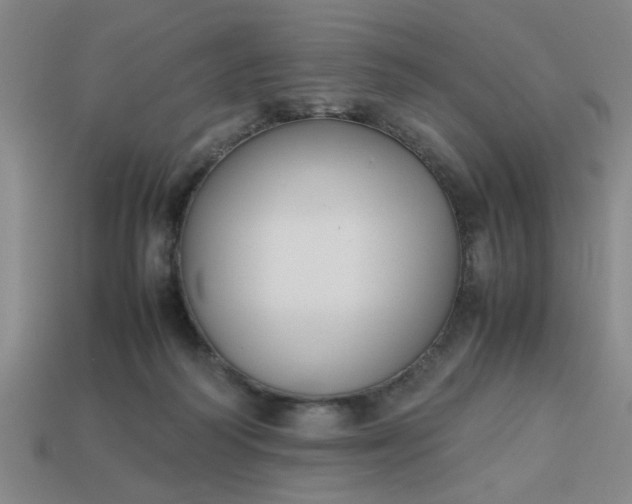 X0000113780218200910071230