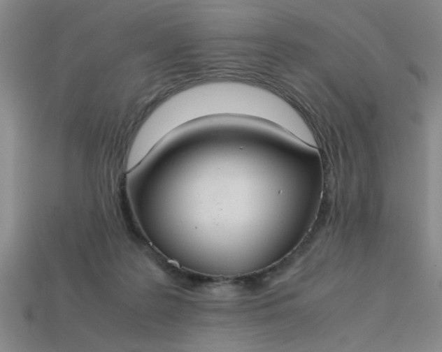 X0000113780219200910071230