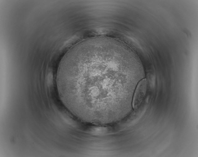 X0000113780220200910071230