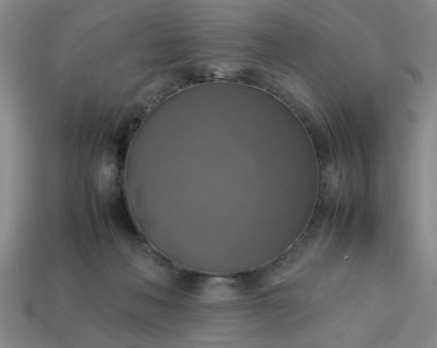 X0000113780222200910071230