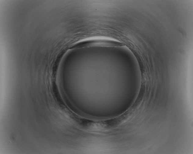 X0000113780223200910071230