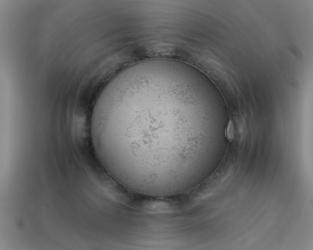 X0000113780224200910071230