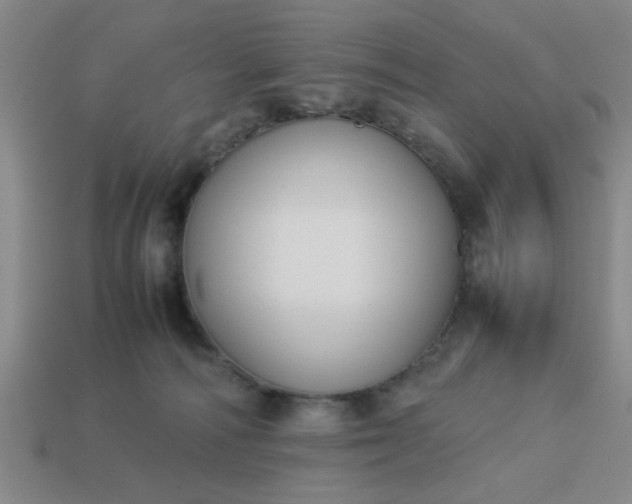 X0000113780226200910071230