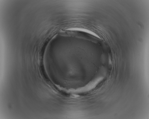 X0000113780227200910071230