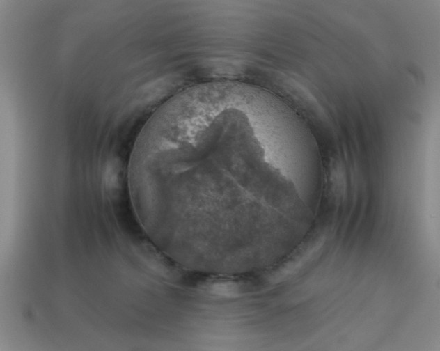 X0000113780228200910071230