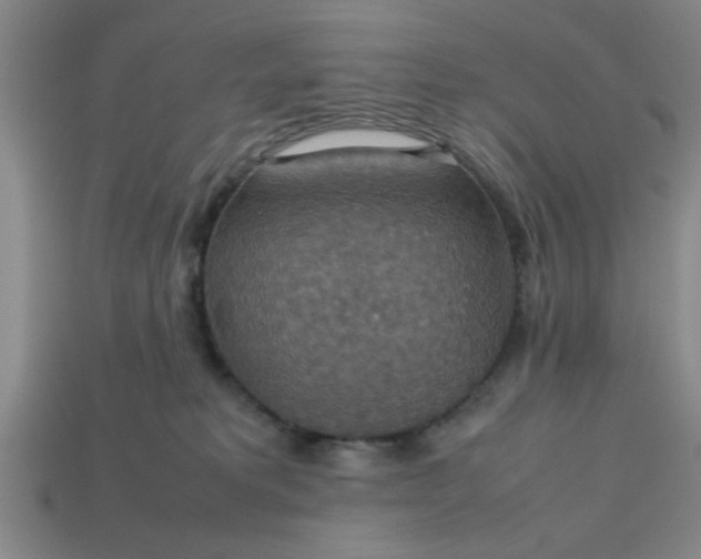 X0000113780229200910071230