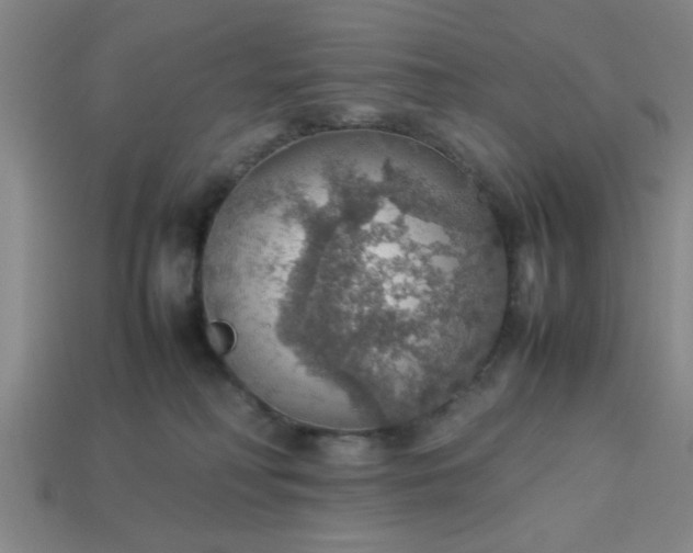 X0000113780230200910071230