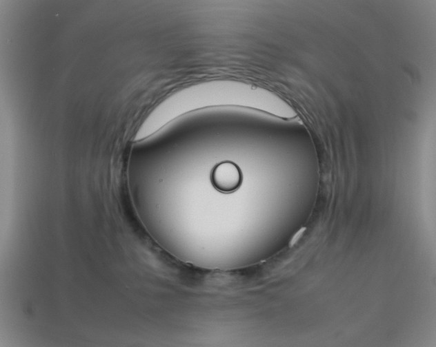 X0000113780231200910071230