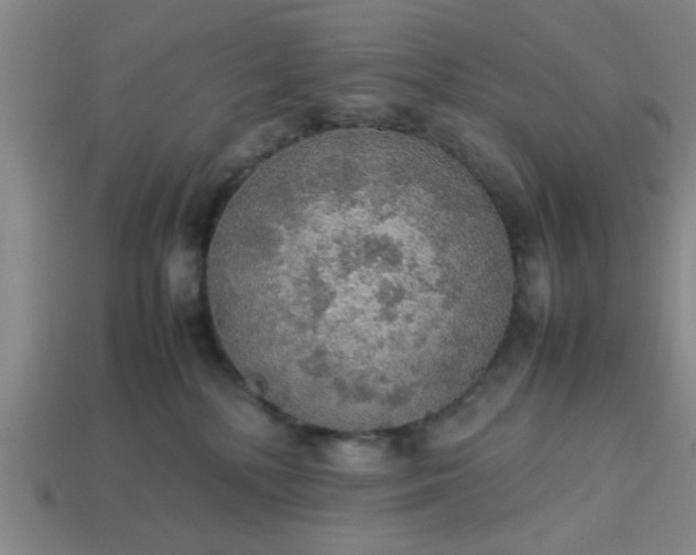 X0000113780232200910071230