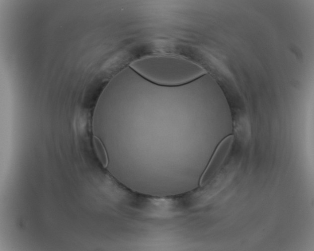 X0000113780233200910071230