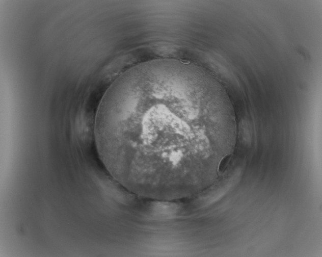 X0000113780234200910071230