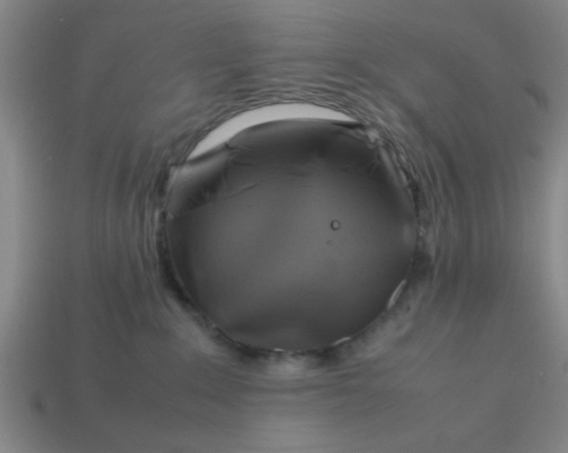 X0000113780235200910071230