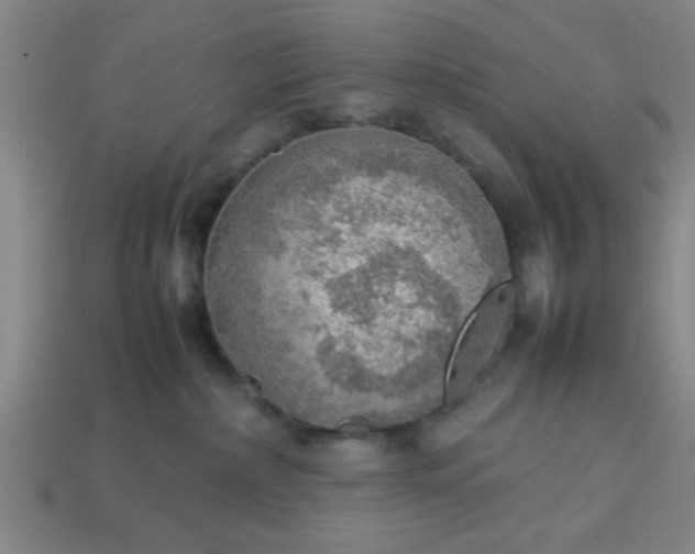 X0000113780236200910071230